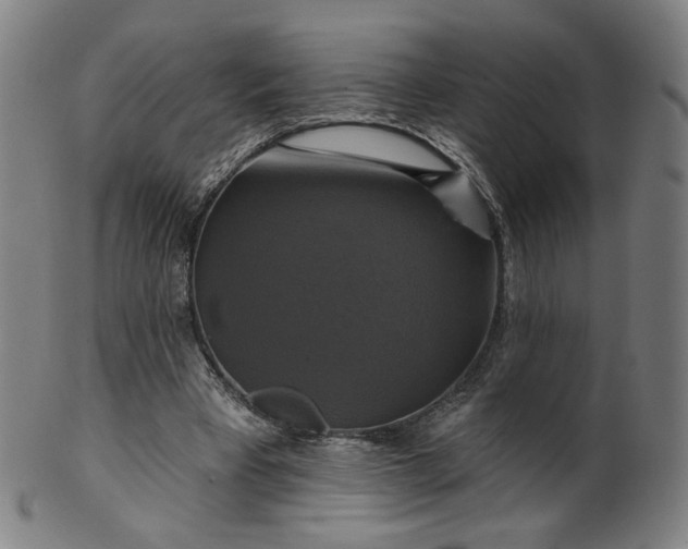 X0000099950393200806061547