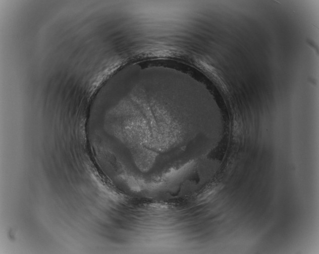 X0000099950394200806061547