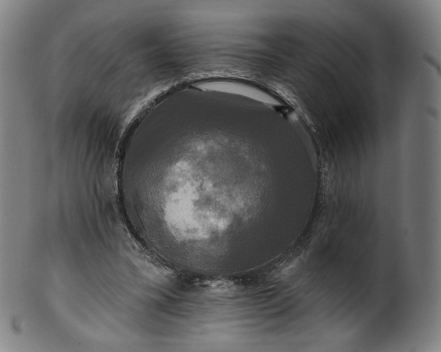 X0000099950395200806061547