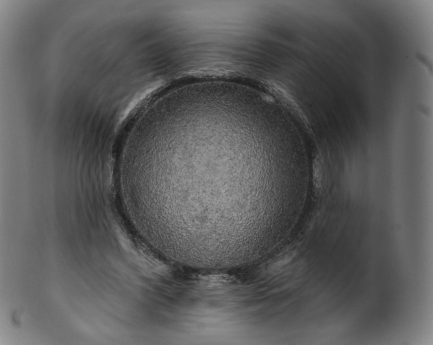 X0000099950396200806061547