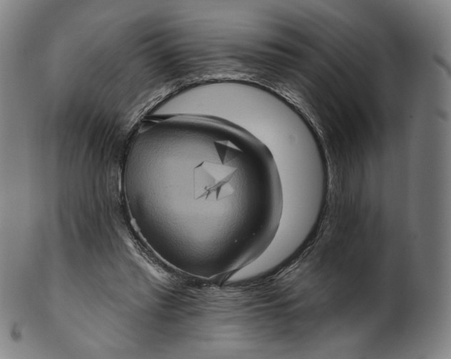 X0000099950397200806061547