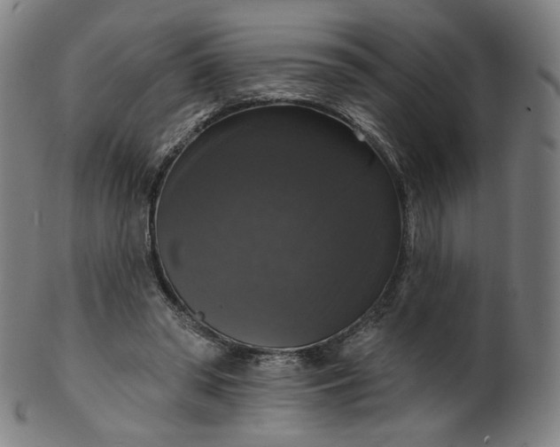 X0000099950398200806061547