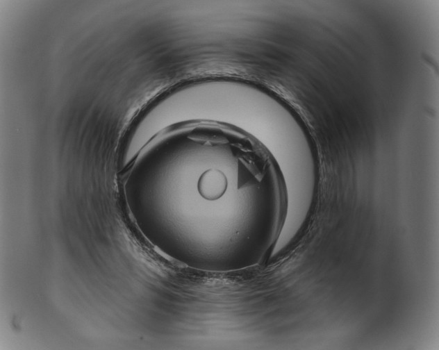 X0000099950399200806061547