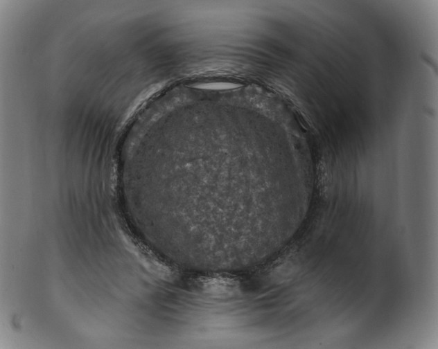 X0000099950400200806061547