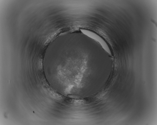 X0000099950401200806061547