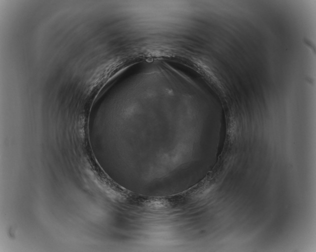 X0000099950402200806061547