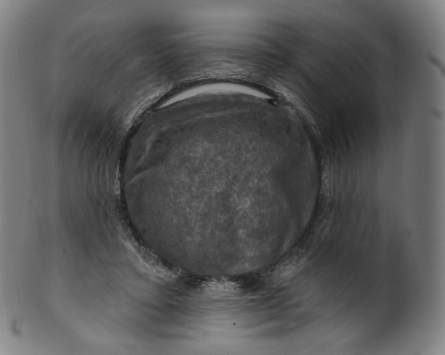 X0000099950403200806061547