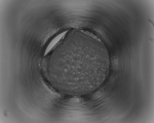 X0000099950404200806061547