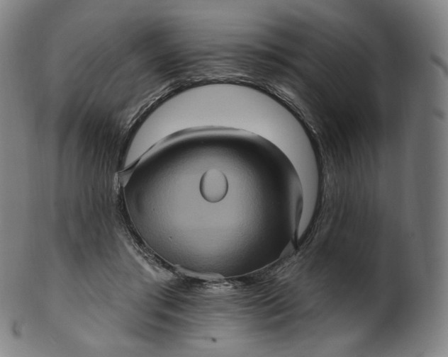 X0000099950405200806061547