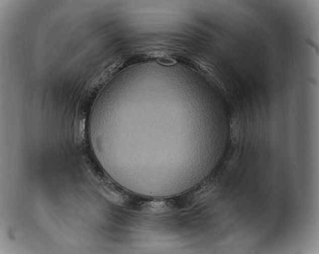 X0000099950406200806061547