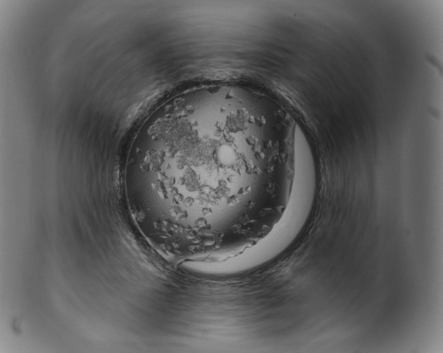 X0000099950407200806061547