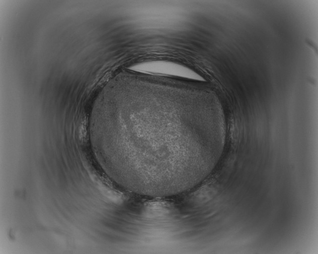 X0000099950408200806061547