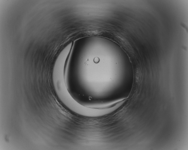 X0000099950409200806061547