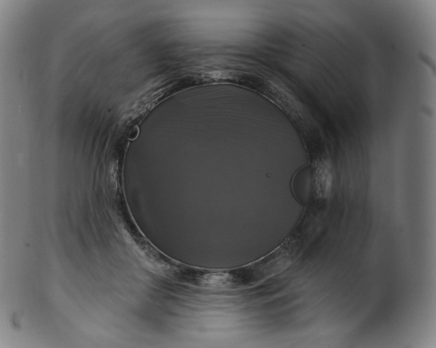 X0000099950410200806061547