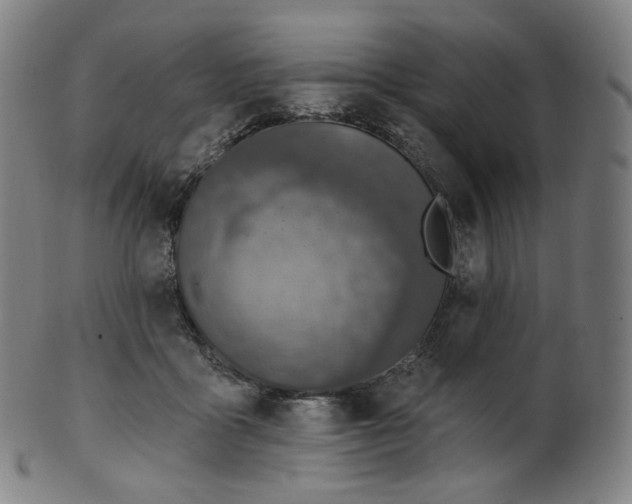 X0000099950411200806061547