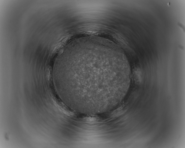 X0000099950412200806061547