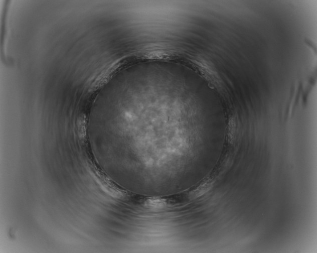 X0000099950413200806061547