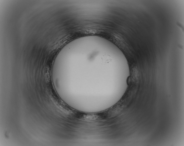 X0000099950414200806061547