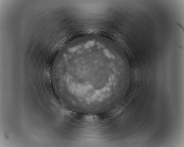 X0000099950415200806061547