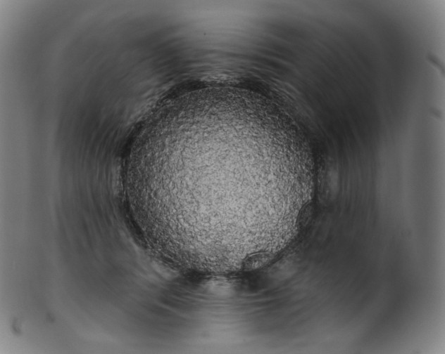 X0000099950416200806061547