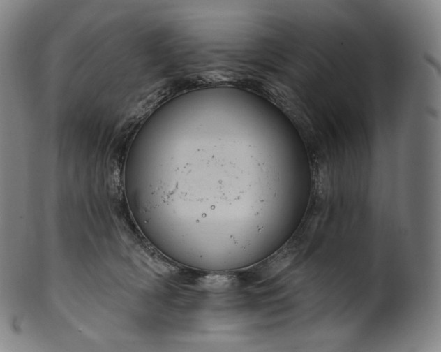 X0000099950418200806061546