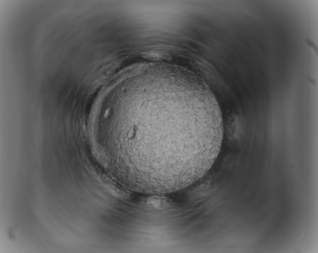 X0000099950420200806061546