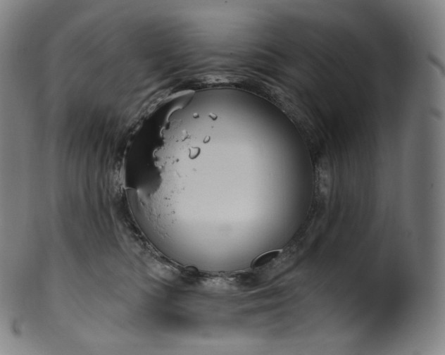 X0000099950422200806061546