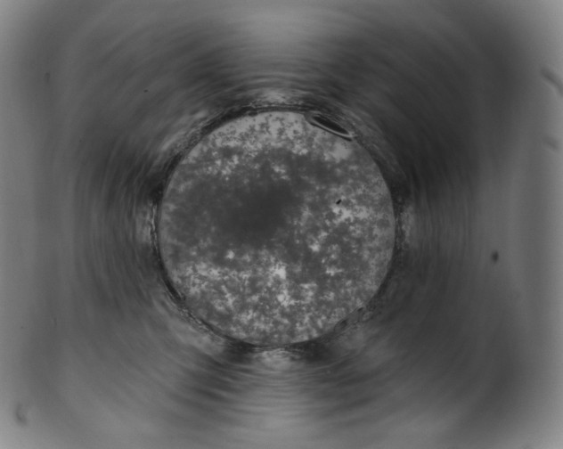 X0000099950423200806061546