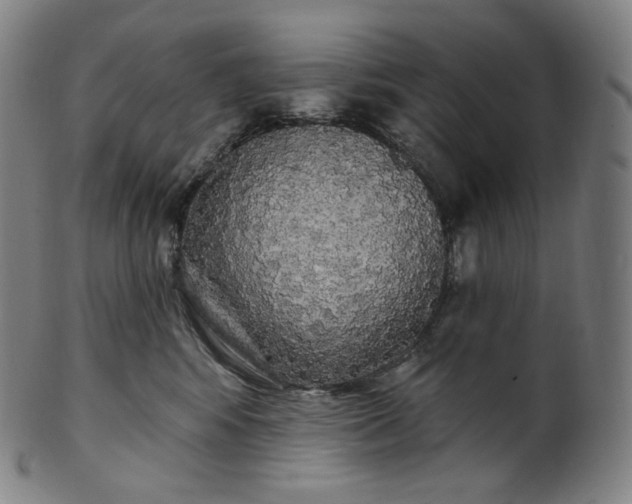 X0000099950424200806061546