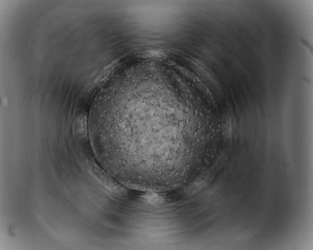 X0000099950425200806061546