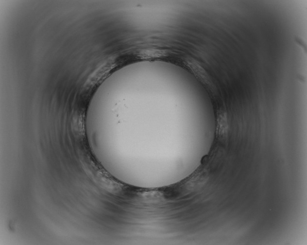 X0000099950426200806061546