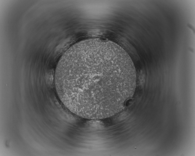 X0000099950427200806061546