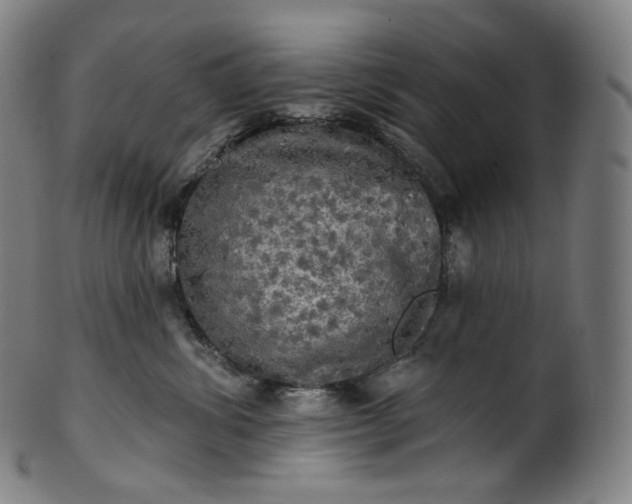 X0000099950428200806061546