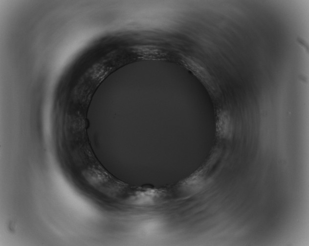 X0000099950430200806061546