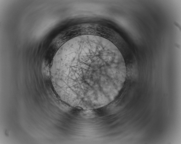 X0000099950431200806061546