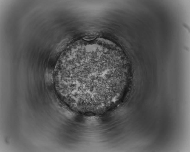 X0000099950432200806061546