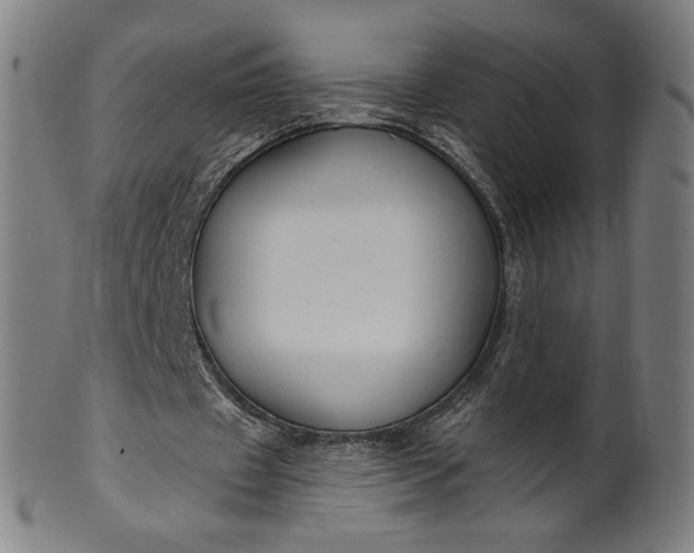 X0000099950433200806061546