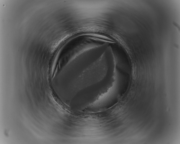 X0000099950434200806061546