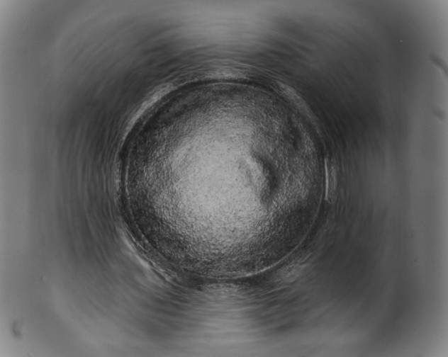 X0000099950435200806061546