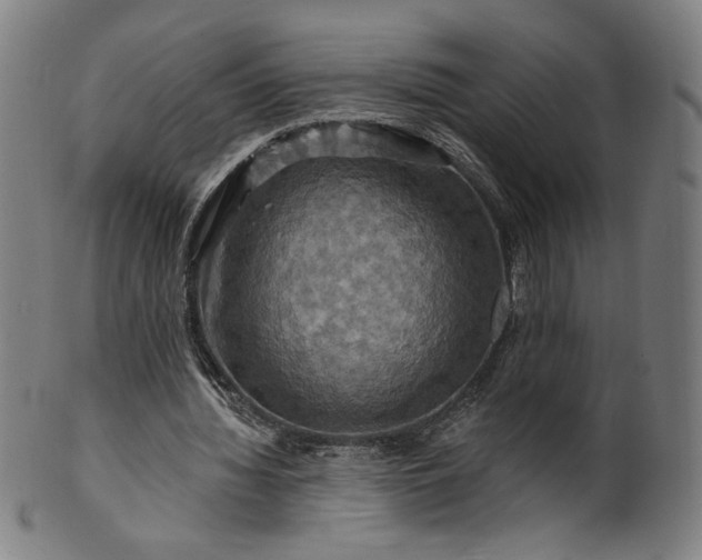 X0000099950436200806061546