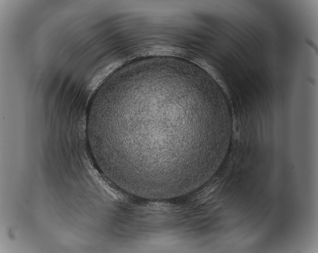 X0000099950437200806061546