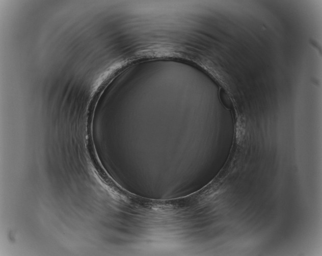 X0000099950438200806061546