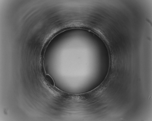 X0000099950439200806061546