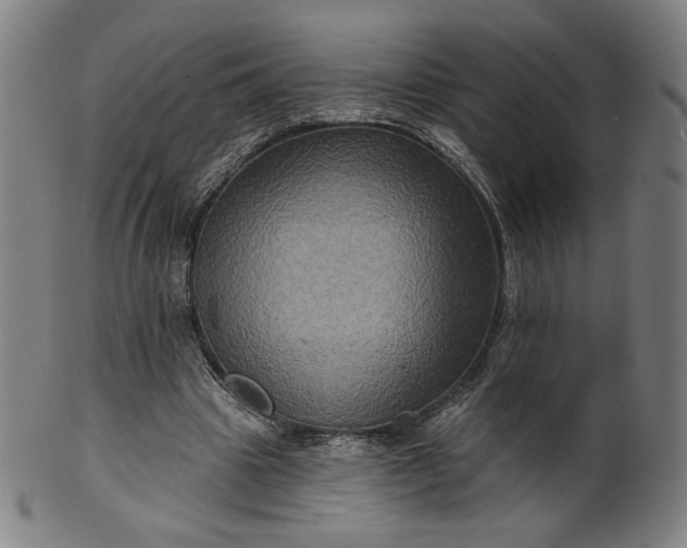 X0000099950441200806061546