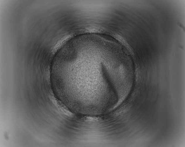 X0000099950442200806061546