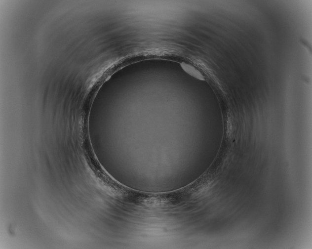 X0000099950444200806061546