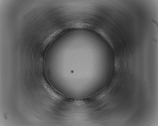 X0000099950445200806061546