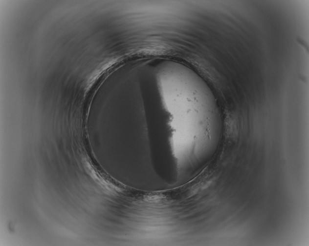 X0000099950446200806061546