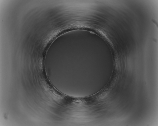 X0000099950447200806061546