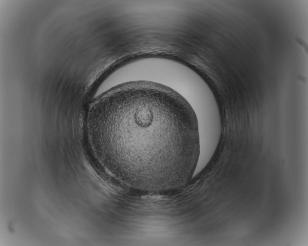 X0000099950448200806061546